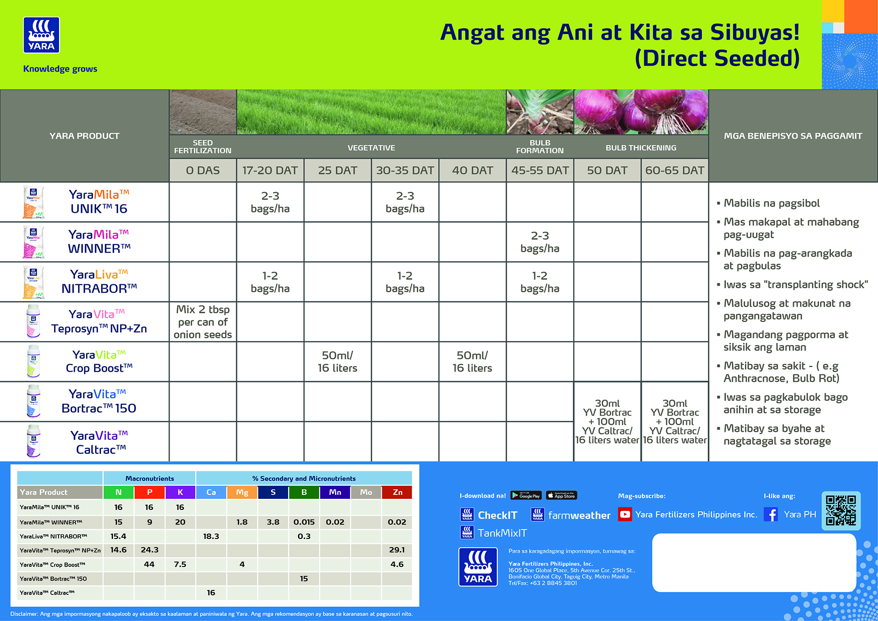 Onion fertiliser programme