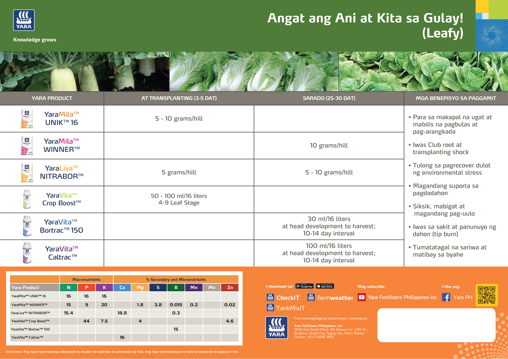 Cabbage fertiliser programme
